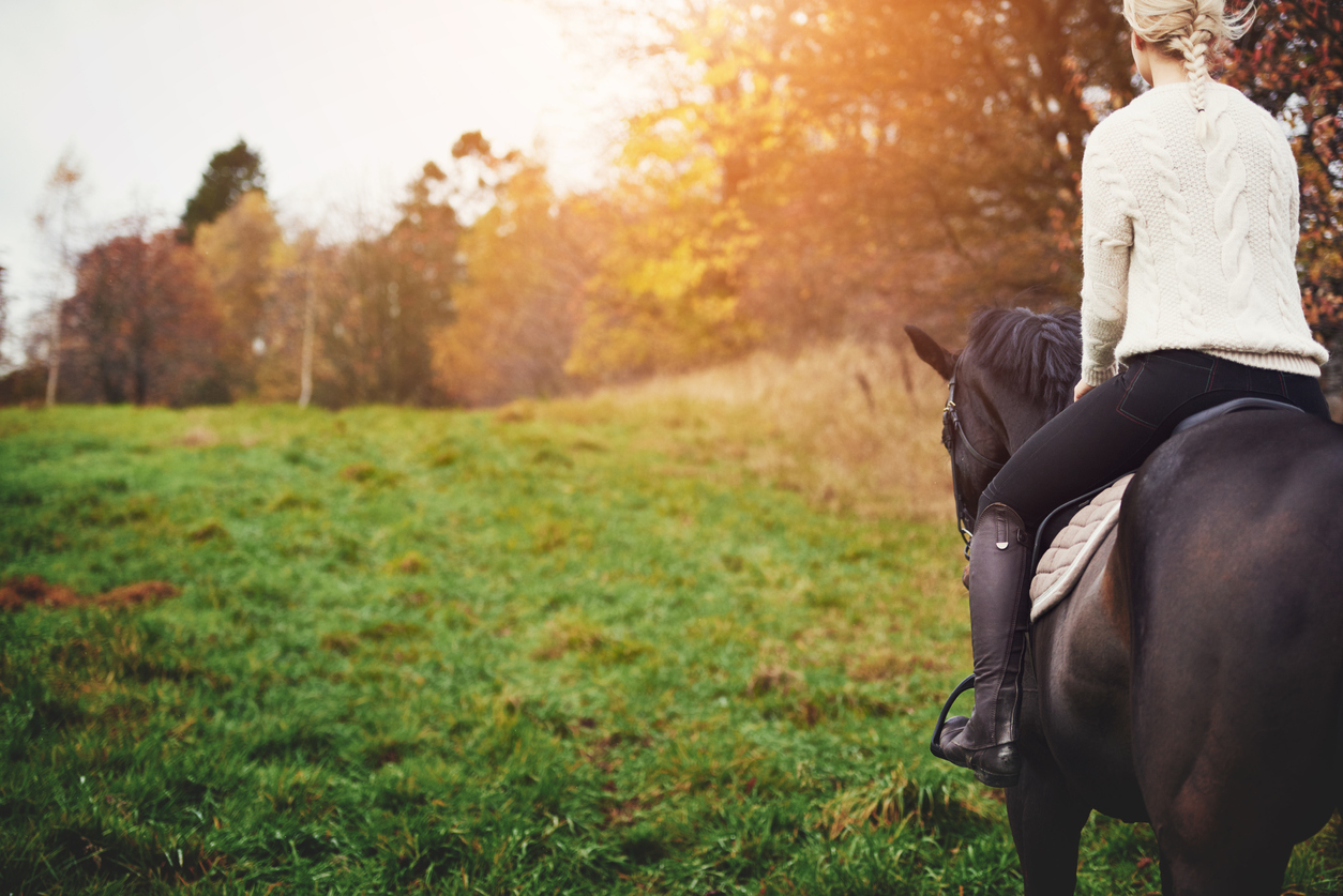 Young woman walking her chestnut horse through an autumn pasture